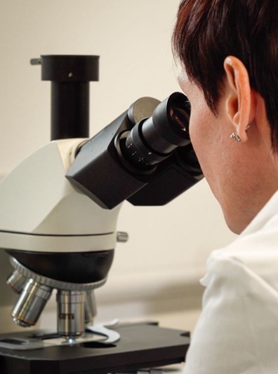 Laboratory analysis at Grissan