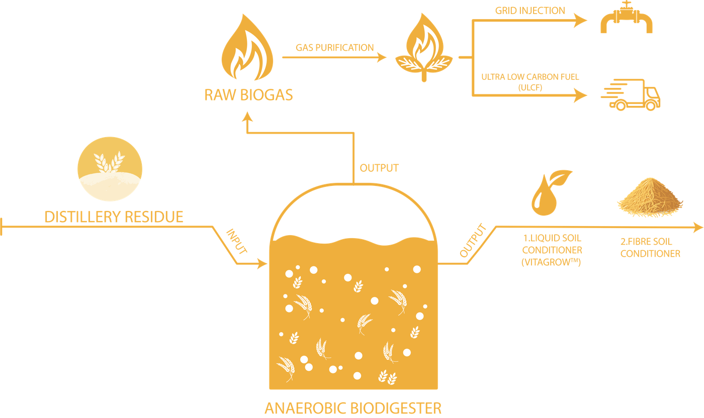 Grissan process overview infographic